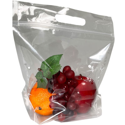 Zip Lock Túi Ziplockk in nhựa có logo Trái cây Túi đứng có tay cầm